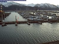 Seward Harbour Alaska Seward United States of America - Webcams Abroad live images