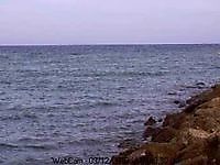 Camara web Palma de Mallorca Spain Palma de Mallorca Spain - Webcams Abroad live images