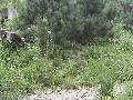 Pinguincams im Allwetterzoo Muenster Germany cam 2 Muenster Germany - Webcams Abroad live images