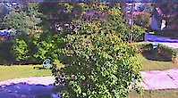 Webcam Garden Lieksa Finland Lieksa Finland - Webcams Abroad live images