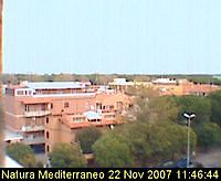 Webcam Riserva del Litorale Romano Rome Italy - Webcams Abroad live images