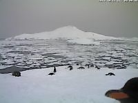 Webcam Antarctic Peninsula Antarctic Peninsula Antártida - Webcams Abroad imágenes en vivo