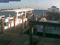 Webcam harbor in Utila Utila Honduras - Webcams Abroad live images