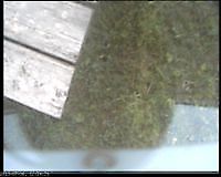 Webcam Lahti Finland Lahti Finland - Webcams Abroad live images