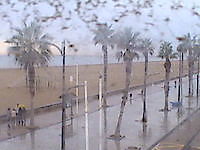 Webcams in Valencia Valencia Spain - Webcams Abroad live images