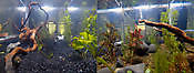 Fishycam Auckland Nueva Zelandia - Webcams Abroad imágenes en vivo
